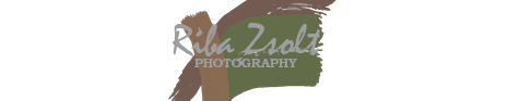 ribazs photography Logo